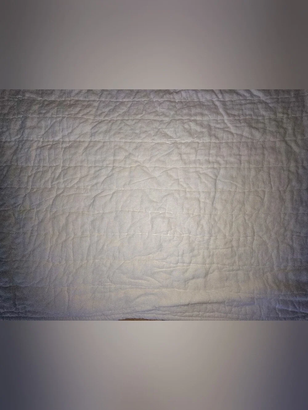 Home & Hearth - Magnolia - Target - Bed Quilt (102